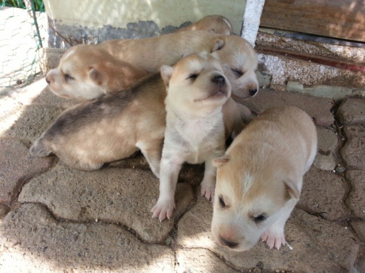 1436495448ga99TSOfRX53NWPuczBYZAe_143671