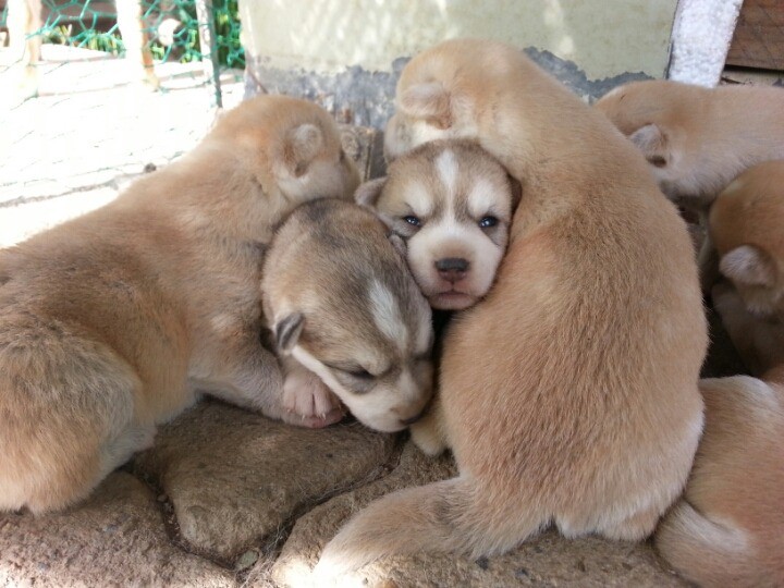 1436495464IcdMMamuN3AEuOCkzbCkZ5REiSq_14