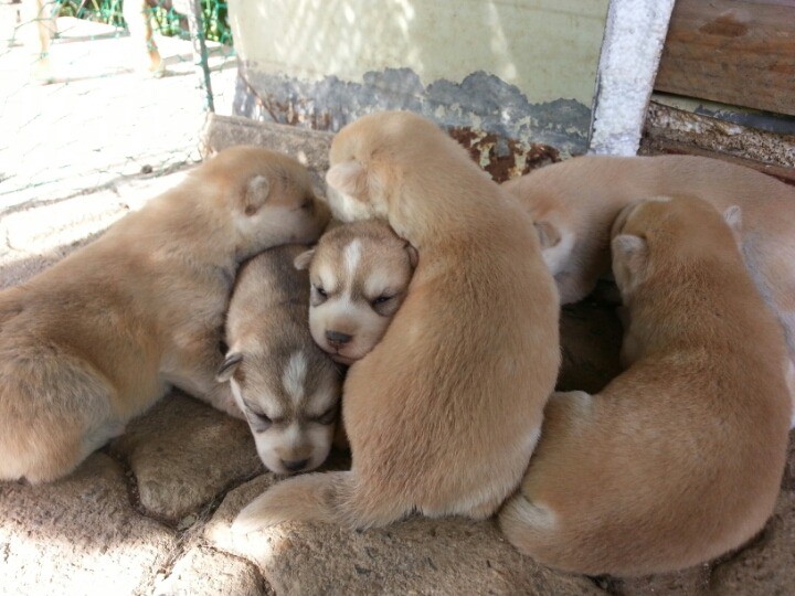 1436495463JYj5wbvf8QHHl35YZSva4fFCQPkGN_