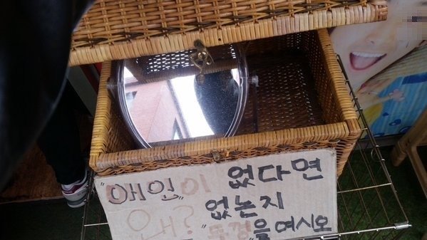 1453108163_image_28129_1453109447_1_5.jp