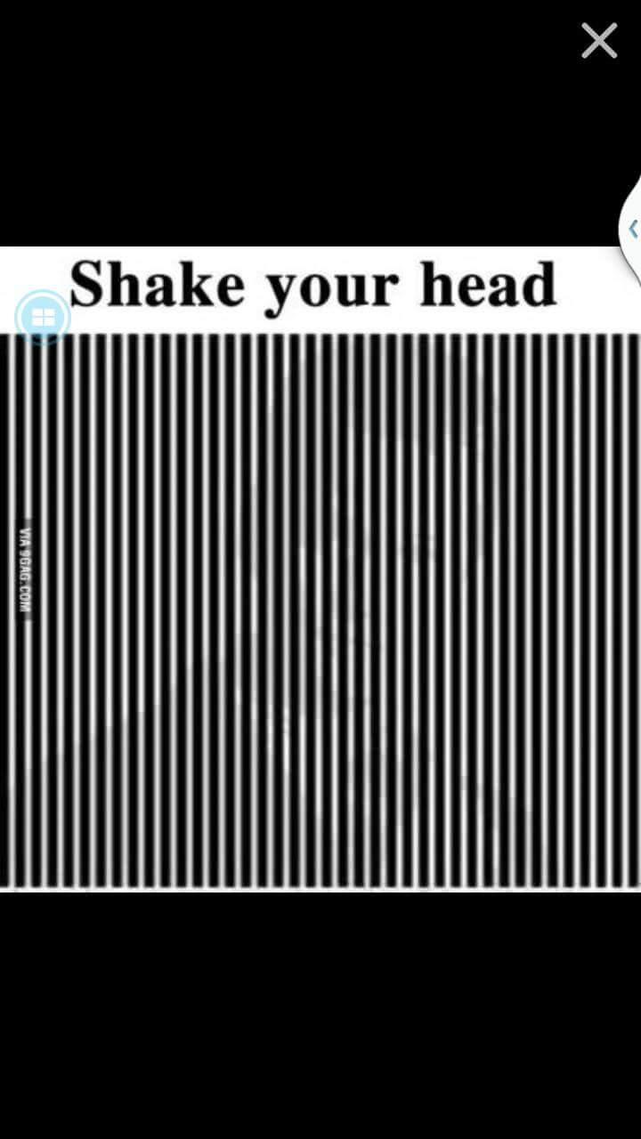 1423322571_B8D3B8AEC8E7B5E9B1E254d5f64a0