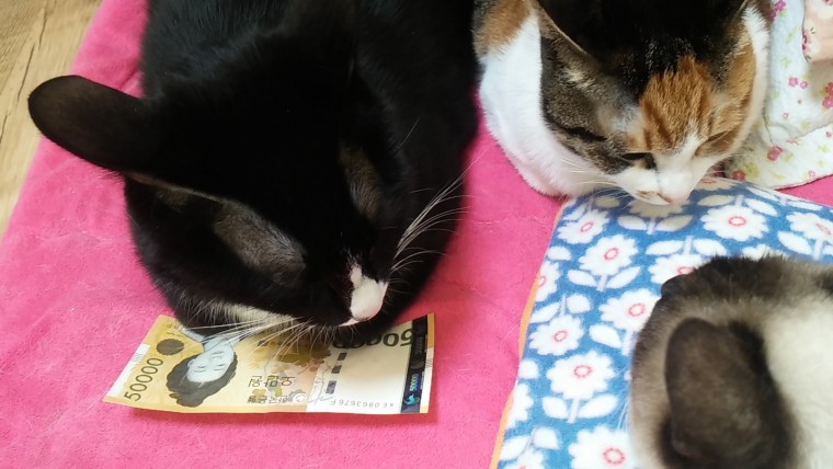 26689e9e7c43eb7730b7ded50c470402_7QA9DVU