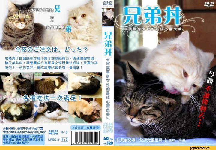 56E4B08A5059C1001D_1457841541_0_2