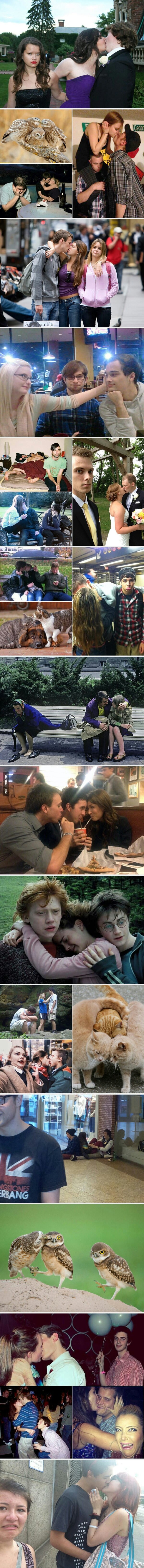 1455193985_pic_1763019680_from_ppombrows