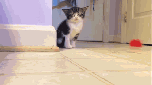 1416075240_2ZOm8bZ_1416116110_1_7.gif