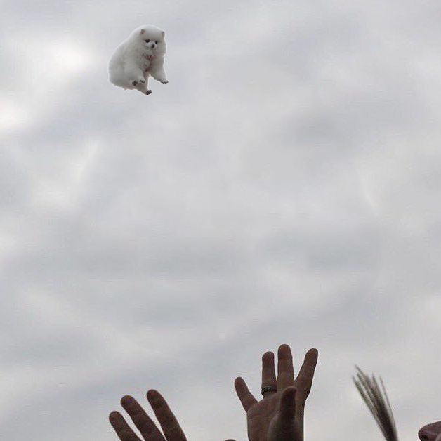 26689e9e7c43eb7730b7ded50c470402_e8OGh4g