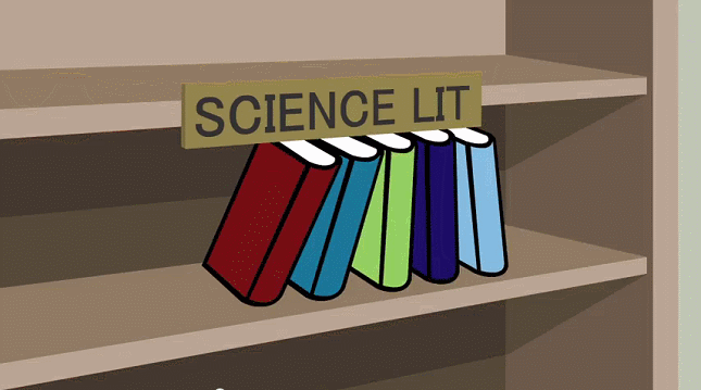 01.gif