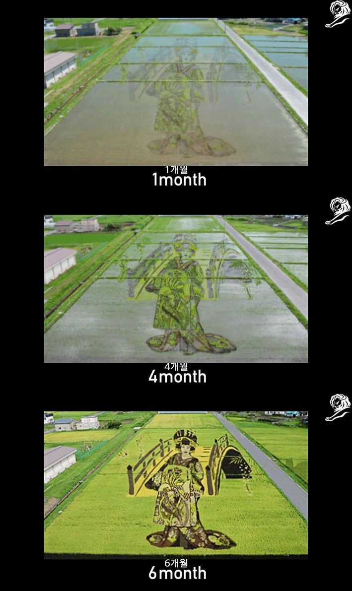 1451712697_proxy_1451709625_4_9.jpeg