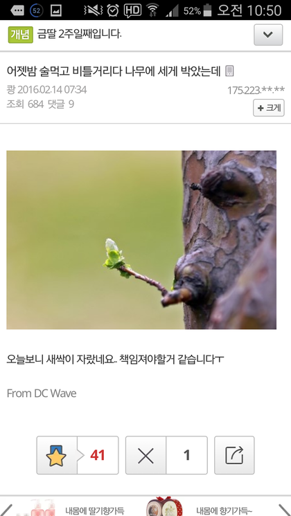 1455521174_OgxiI7tnWd_1455524070_0_4.jpe