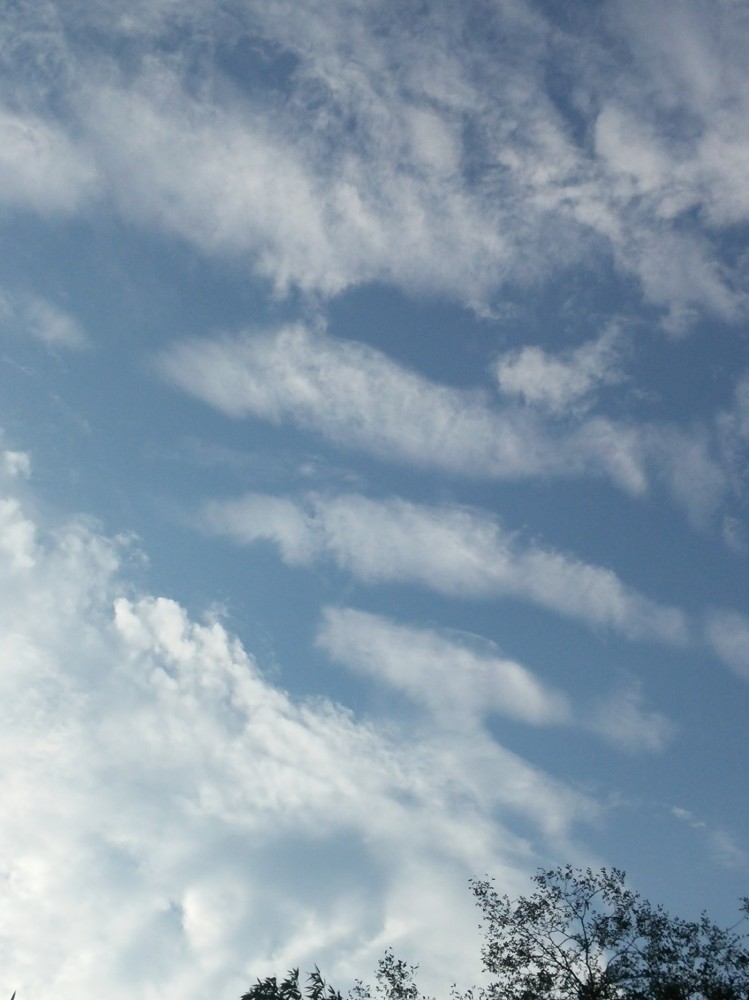 160921052010_XMs6IwosOJ9wgQ4_1474452626_