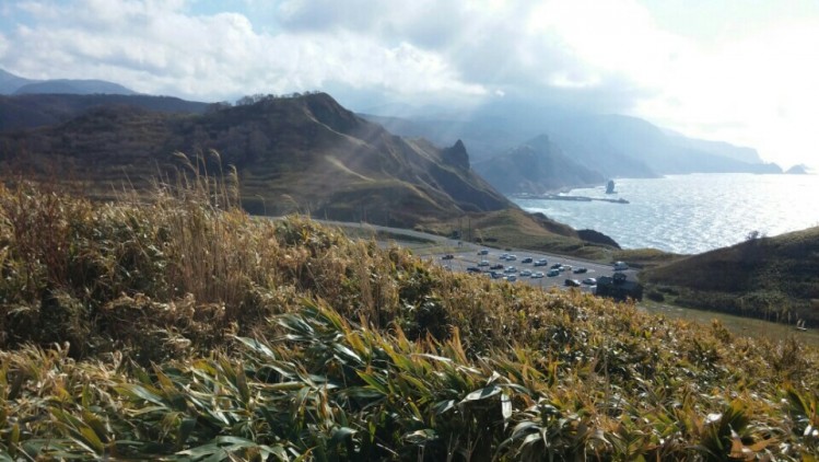 160207115815_B9mgefD8bFX2l_1454853259_0_