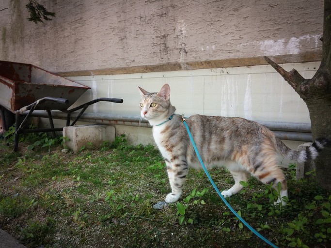 160217010009_vQBNpMFDZ_1455634124_0_9.jp