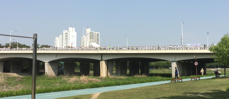 160429032819_Vnb25SFVa_1461906395_1_7.jp