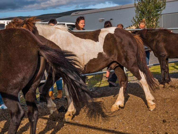 160429015226_3XO6ekAWqA5nbDX_1461899196_