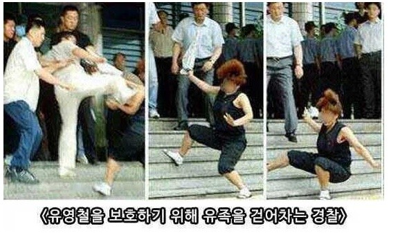 160210120008_tkOiiqIAbvWm5Mn_1455069151_