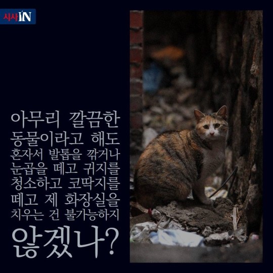 160627044423_EQXbGs6p_1467015124_4_4.jpe