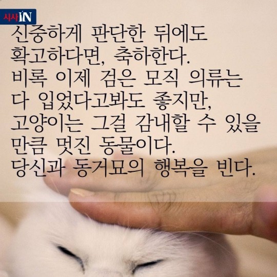 160627044438_yXLeoB13Cr_1467015125_8_4.j