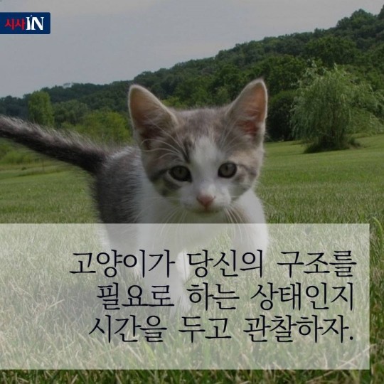 160627044413_tJulLGCIk1_1467015124_1_4.j