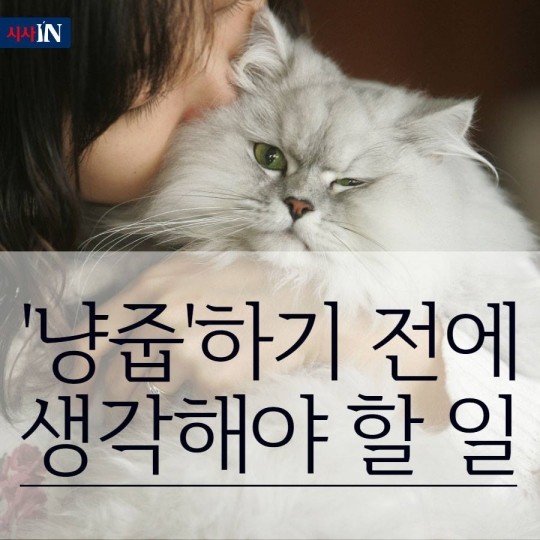 160627044410_pquS1kQJzDr44M_1467015124_0