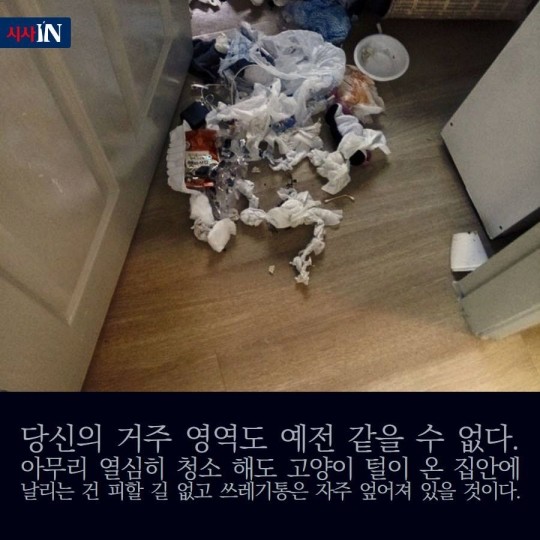 160627044427_TH1uTICEy_1467015124_5_4.jp