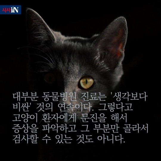 160627044434_kCQz1QUMjofnWj1_1467015125_