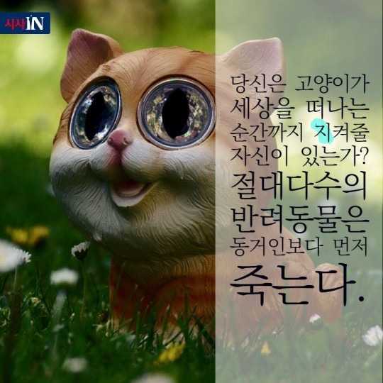 160627044430_o3YHIkyGnhMw_1467015125_6_4