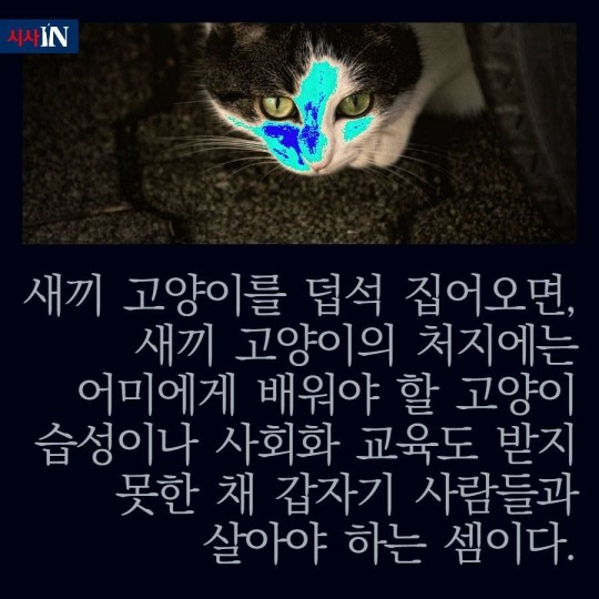 160627044417_2VhPYiMqV_1467015124_2_4.jp