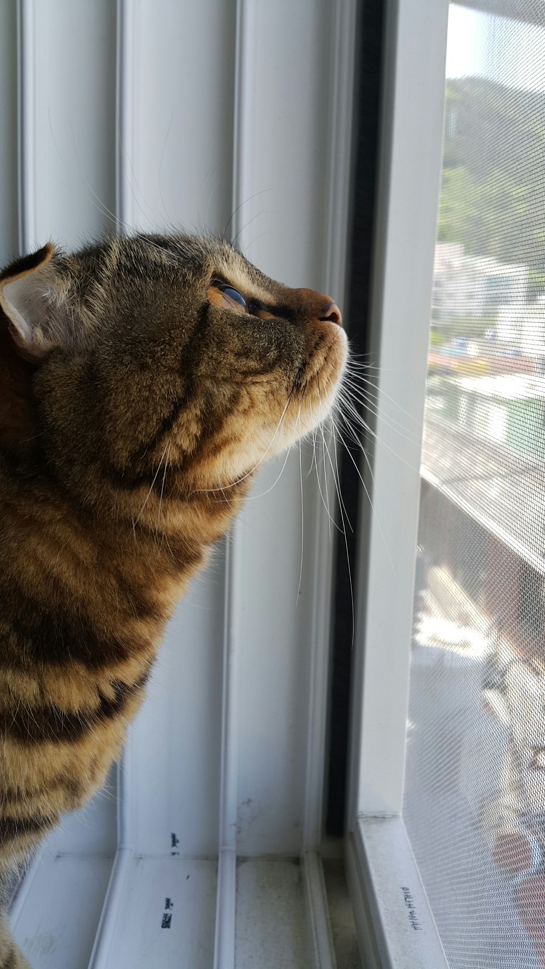 150501020414_ndCR1XQN9_1430457007_1_8.jp