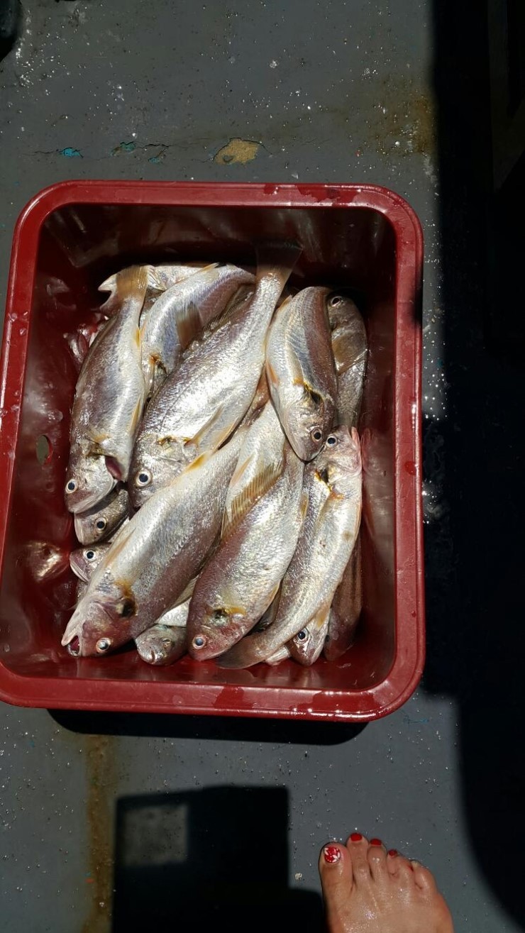 160627045217_CdADxfmm6Qw_1467015127_2_8.