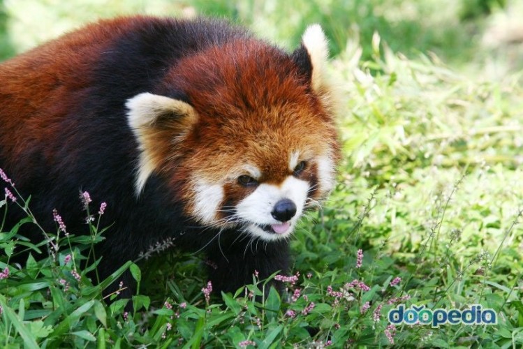 160423085218_UwYjPbrIRJZD_1461406195_0_7