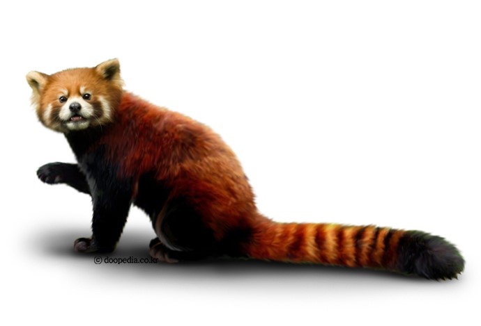 160423085221_wA4u2qyxvoLpKK_1461406195_1