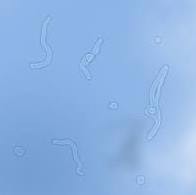 160202041206_lMZLxxVhto4fd4_1454392624_1