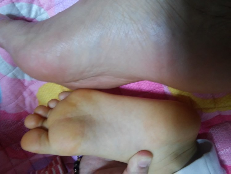 160214113619_tLX3LdaWJPPSvV_1455457816_2