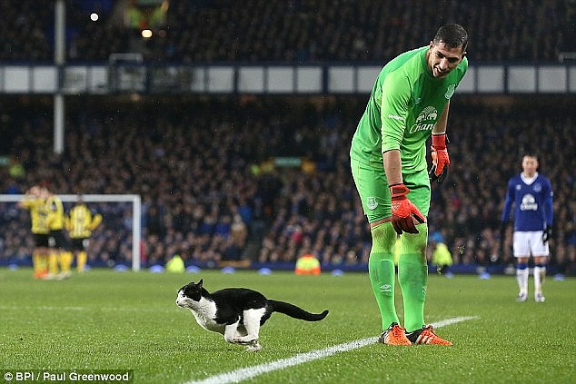 160110080443_BQ57hvVFhGREtZ_1452377439_3