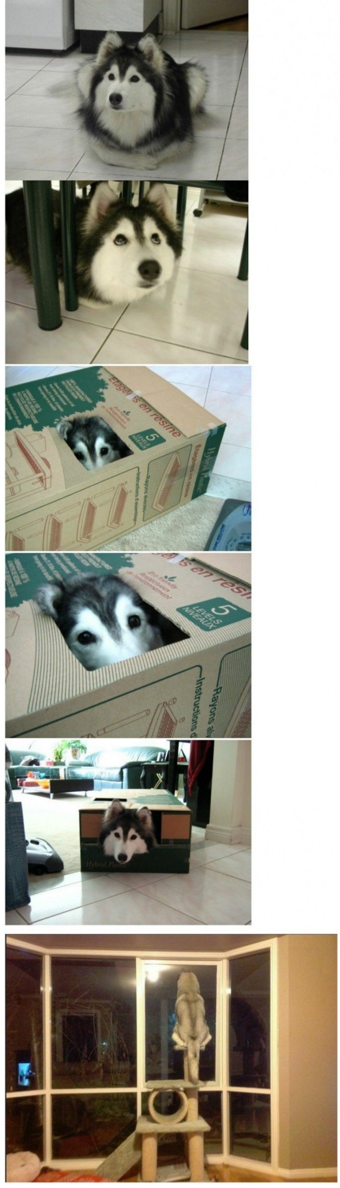 160201010403_NdaAcSArEUfUWT_1454295466_0