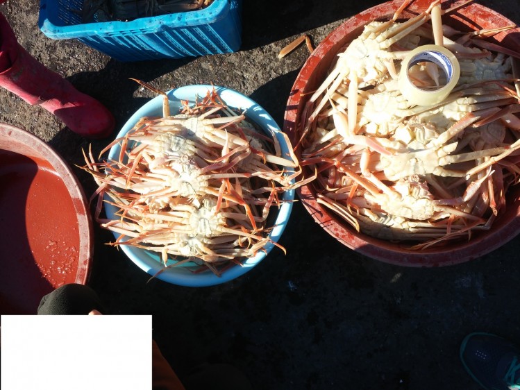 160918093612_Bo1hKZVAkkIocg_1474204226_0