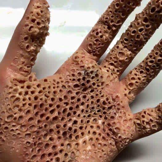 160215020409_TIimQ7nq_1455508174_0_7.jpe