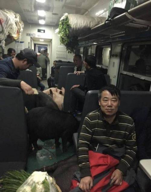 160216043626_FoE5LAxWKcyVDvj_1455605338_