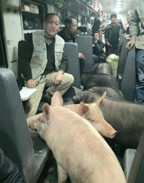 160216043612_EDEoYwTtKeiXSGt_1455605337_