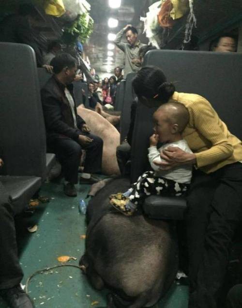 160216043622_hOW1lJmMEoxD4_1455605338_4_