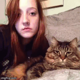 20150604091551676_1433421137_4_3.gif