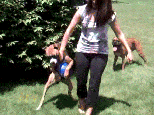 201507260640402_1437928345_0_5.gif