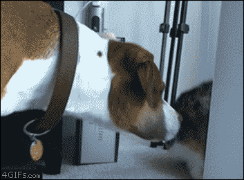 20150726083843492_1437942737_0_9.gif