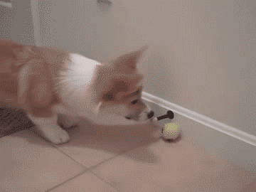20150430022245985_1430440351_1_8.gif