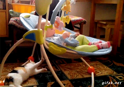 20150423012929344_1429792348_1_1.gif