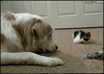 20150802090740602_1438547533_0_1.gif