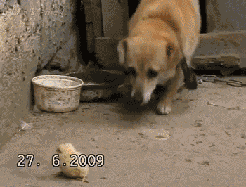 20151113153011260_1447416392_0_1.gif