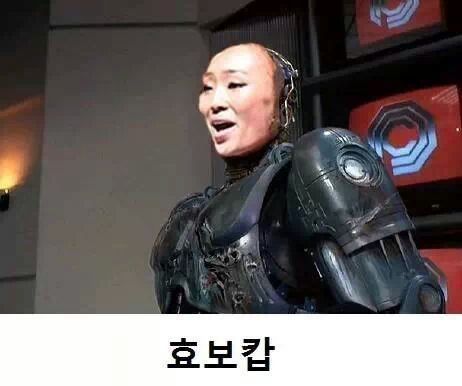 효보캅.jpg