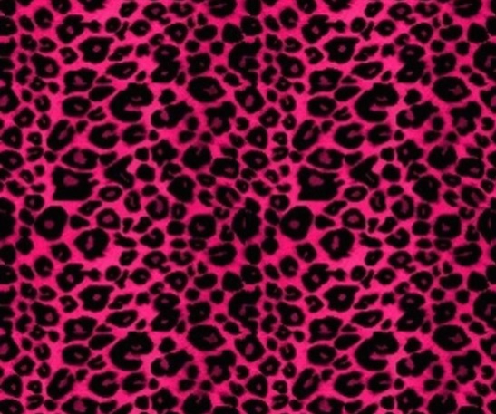 핑크호피.jpg : 재밌는 에버랜드 아저씨 ㅋㅋ