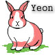 yeon.jpg